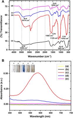 Peptide conformational imprints enhanced the catalytic activity of papain for esterification